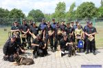 Wrocław: oto najlepsze psy policyjne z regionu [ZDJĘCIA, WIDEO], 